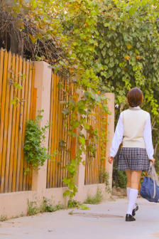 惜花芷电视剧免费看